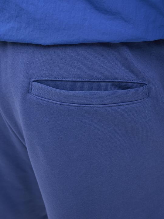 Actual product image Jack & Jones Loose Fit Loose Fit Shorts Loose Fit Shorts (M)