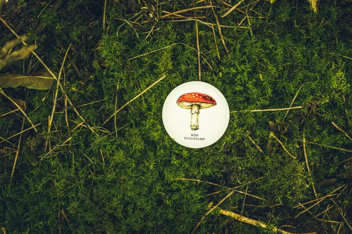 Actual product image Ninja Print Skogen (memory spel)