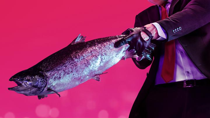 Produktbild WB Hitman 2 (Xbox One S)