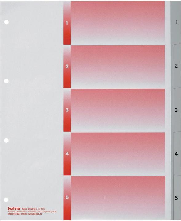 Actual product image Kolma Index A4 XL strong 1-5 5-piece grey