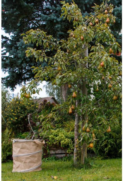 Immagine prodotto Colibri Allzweckbehälter Pop-up Jute 56 l, D40xH46 cm (56 l)