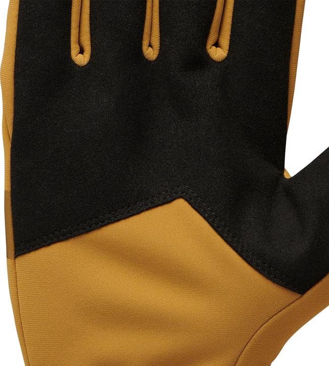 Actual product image Black Diamond Everyday Softshell Gloves (XS)