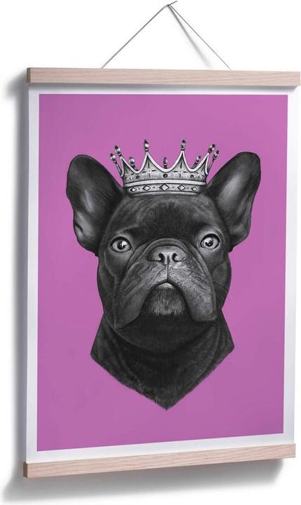 Image du produit Trenddeko King French Bulldog rose (100 x 120 cm)