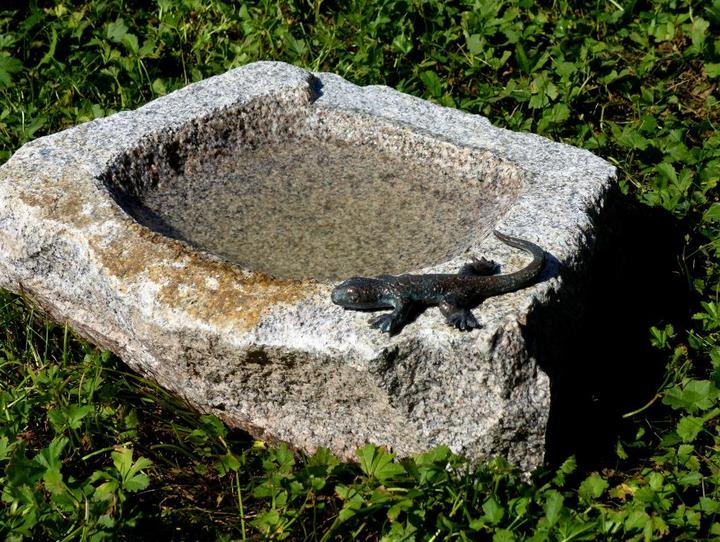 Produktbild Neogard Vogeltränke