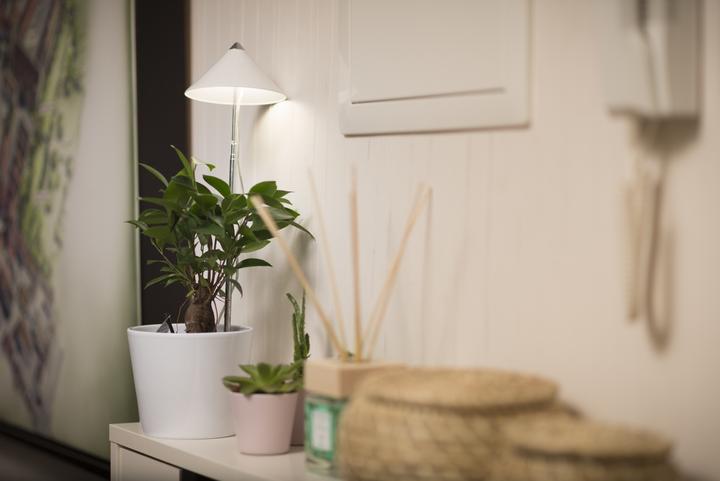 Image du produit Colibri SUNLiTE blanc (LED, 230 V)