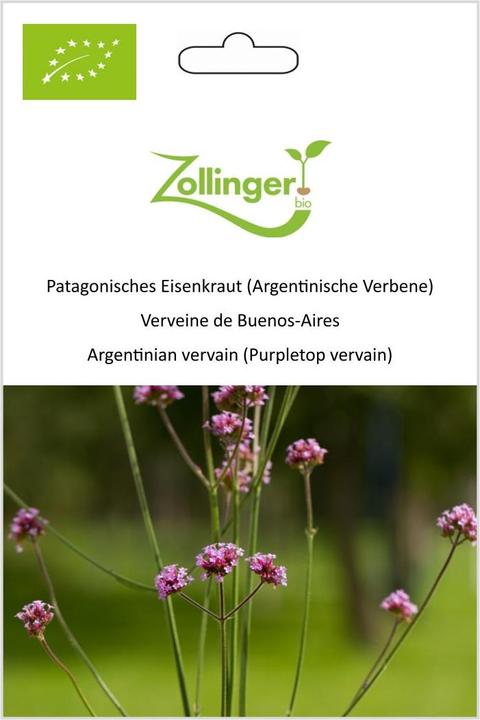 Produktbild Zollinger Bio Patagonisches Eisenkraut (Argentinische Verbene) (Pflanzensamen)