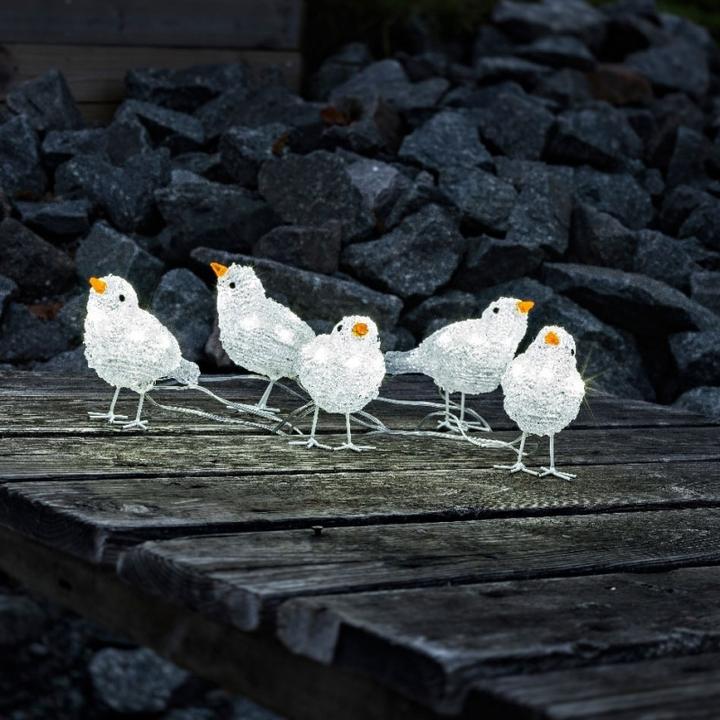 Immagine prodotto Konstsmide Uccelli