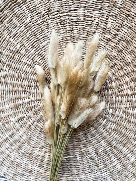 Actual product image Soli Collection Dried flowers Lagurus (Dried flowers)