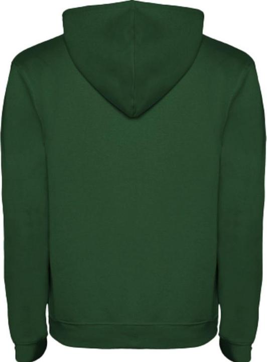 Image du produit Alpinia - Sweat à capuche URBAN - Homme (XL)