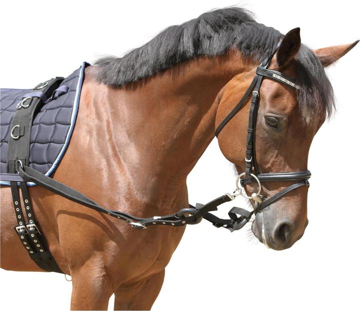 Actual product image Kerbl Binding reins