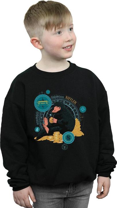 Image du produit Fantastic Beasts - Sweat SITTING NIFFLER - Garçon (140, 146)