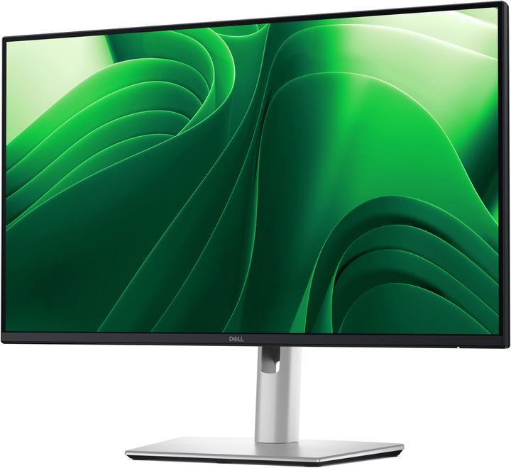 Dell Pro Plus P2425D (2560 x 1440 pixels, 24")