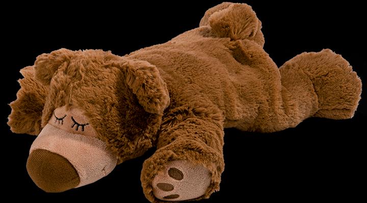 Image du produit Warmies Sleepy Bear (32 cm)