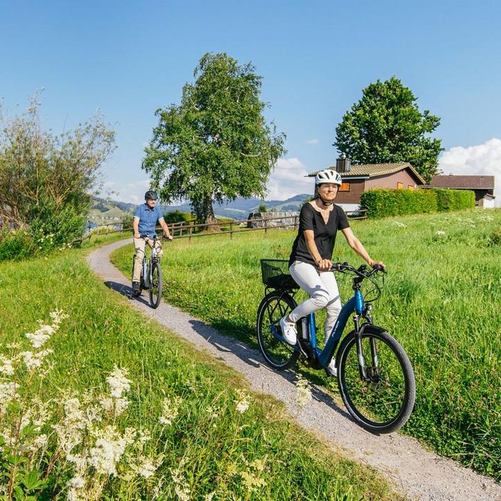 Produktbild Flyer Gotour5 7.23 (57 cm)