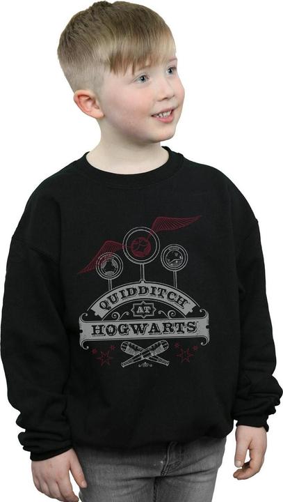 Immagine prodotto Quidditch At Hogwarts Felpa Ragazzi (152, 158)