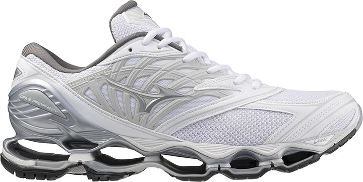 Mizuno Wave Prophecy