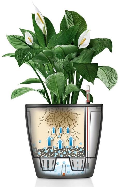 Produktbild Lechuza Classico (28.50 cm)
