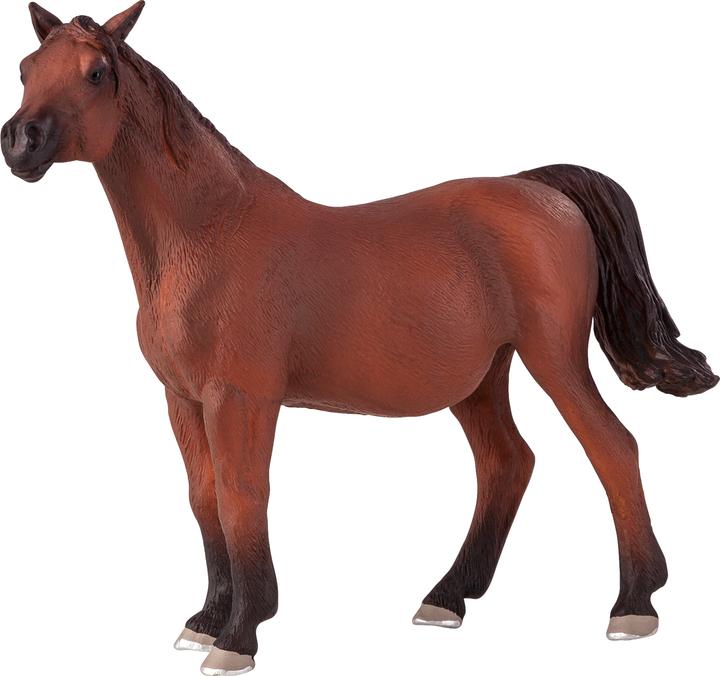 Animal Planet Cavalla araba