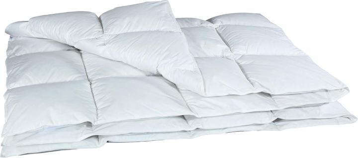 Immagine prodotto Albis Arven 600 (1140 g, 200 x 210 cm)