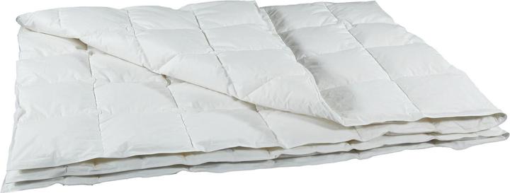 Produktbild Albis Line 200 leichtes Daunenduvet (440 g, 200 x 210 cm)