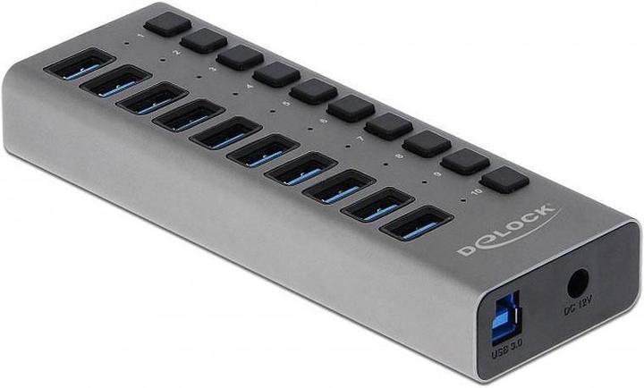 Delock Stabil (USB-B, 10 Ports)