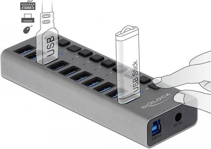 Image du produit Delock Stabil (USB-B, 10 Ports)