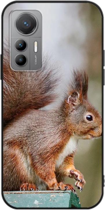 Squirrels
