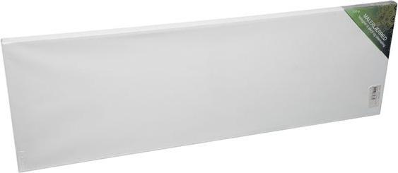 Winsor & Newton Painting canvas (bs) 20x60cm 18mm