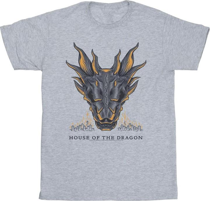 Produktbild Game of Thrones Dragon Flames TShirt (XXL)