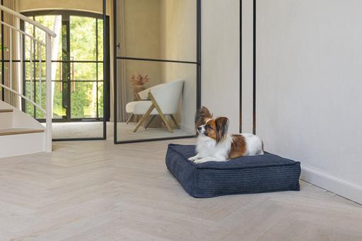 Image du produit Designed by Lotte Ribbed (Chien)