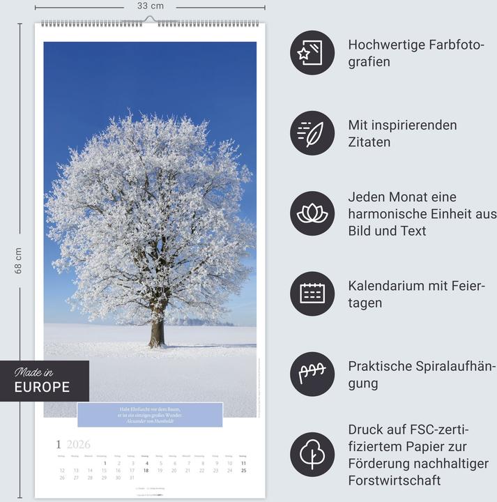Actual product image Wunderwelt der Bäume Kalender 2026 (33 x 68 cm, German)