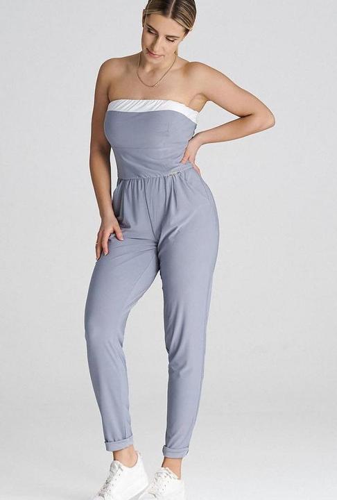 Figl Overall model