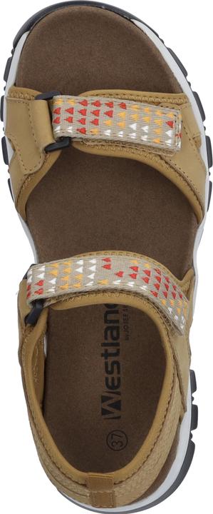 Image du produit Westland 25801-TE508 (39)