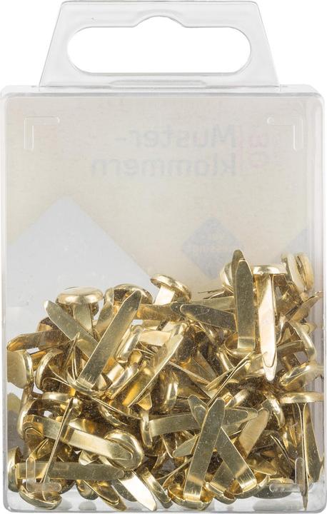Immagine prodotto Idena Morsetti campione 80 pezzi placcati in ottone (1 x)