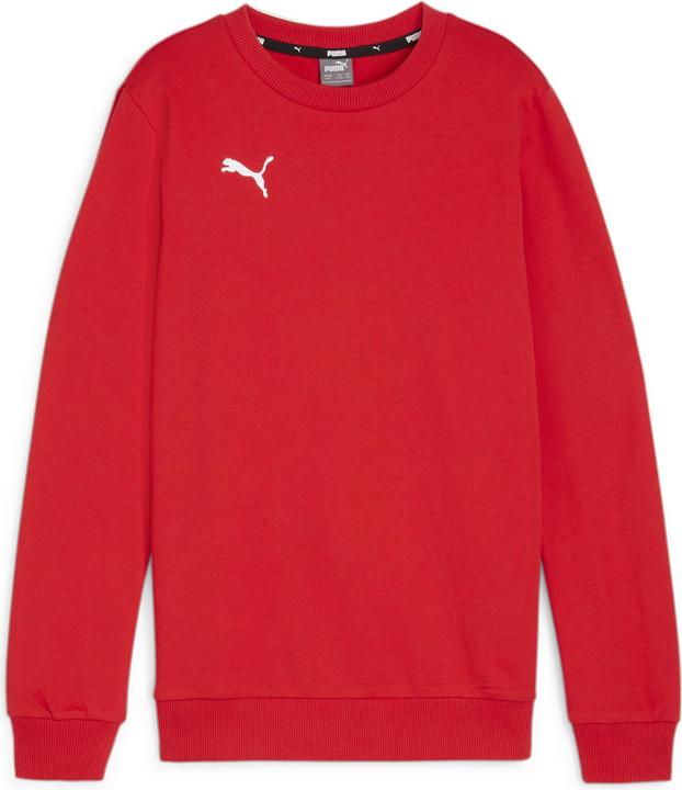 Puma teamGOAL Casuals Crew Neck Sweat Jr
