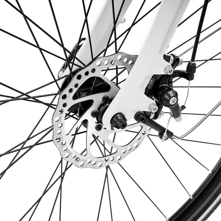 Image du produit Argento Vélo électrique Omega White