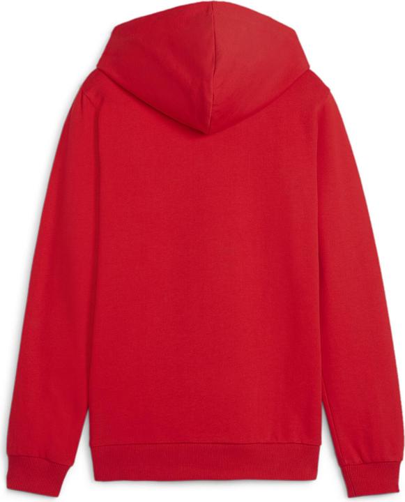 Actual product image Puma teamGOAL Casuals Hoody Jr (140)