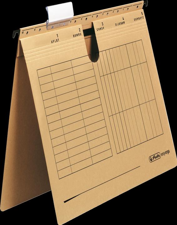 Image du produit Herlitz Dossier suspendu UniReg easyorga, agrafage commercial, natron (A4, 25 x)