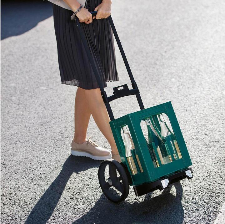 Actual product image reisenthel Citycruiser Rack