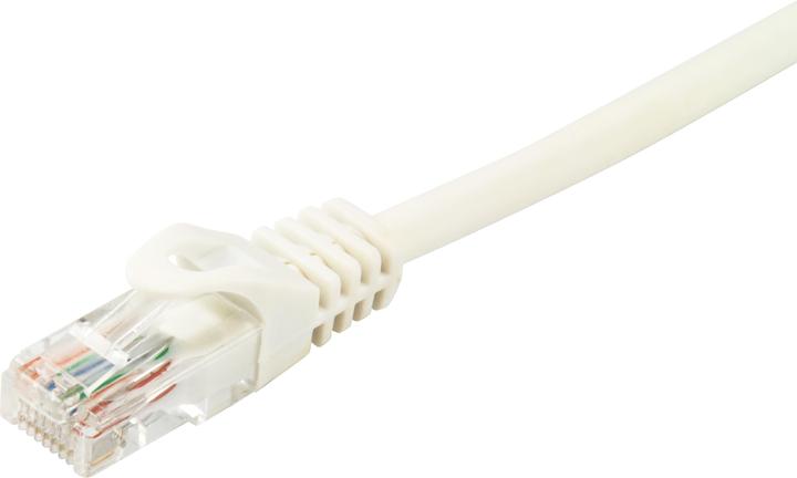Immagine prodotto equip Cavo di rete (U/UTP, CAT6a, 3 m)