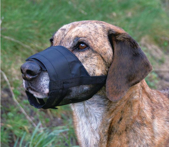 Immagine prodotto Trixie Muso (L, Cane, Passeggiare)