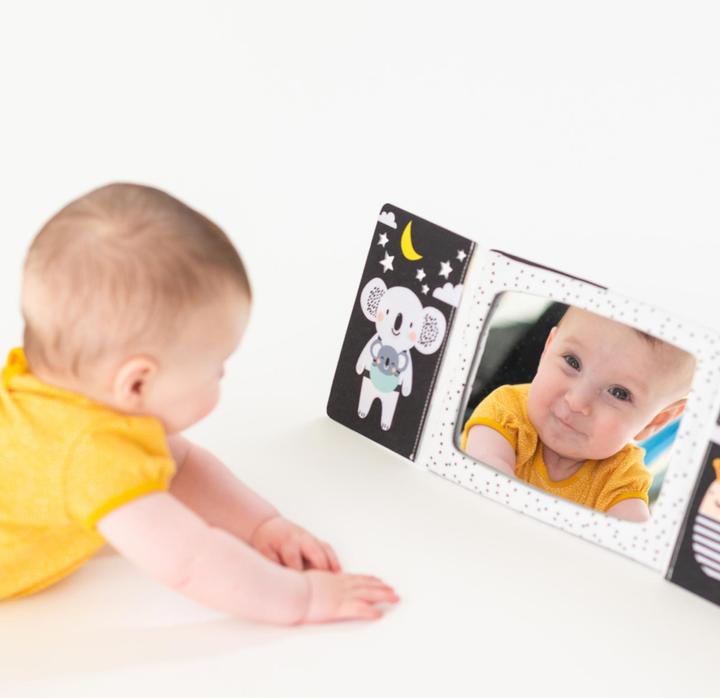 Immagine prodotto Taf Toys Koala (Tedesco, Francese, Italiano, Inglese)