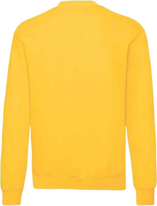 Image du produit Fruit of the Loom - Sweat CLASSIC - Homme (M)