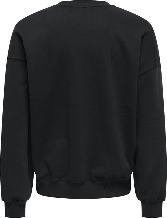 Actual product image Only & Sons Onsturner Life Vtg Crew Neck Sweat Noos (XS)
