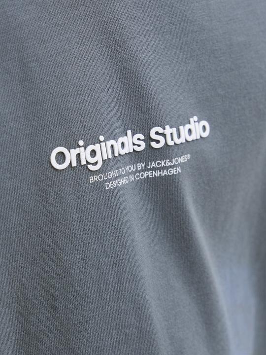 Produktbild Jack & Jones Jorvesterbro Tee Ss Crew Neck Noos Jnr (164)