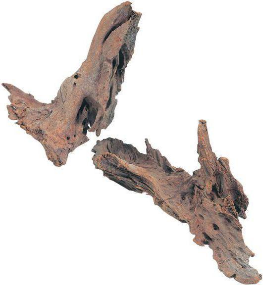 Image du produit Zolux Racine de palétuvier 25-40 cm (Grotte, autres éléments)