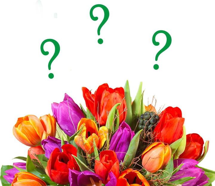 Rutishauser Blumen Tulpen Überraschungsfarbe (Schnittblumen)