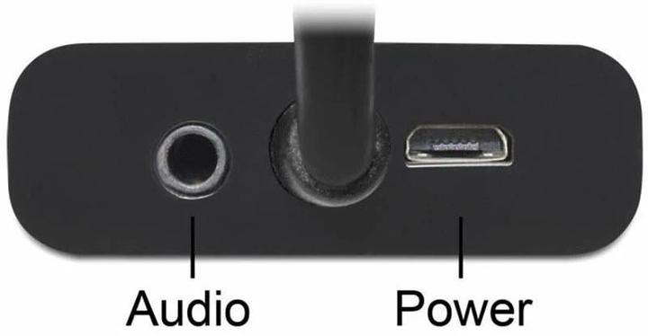 Actual product image Delock DP to (VGA, 12 cm)