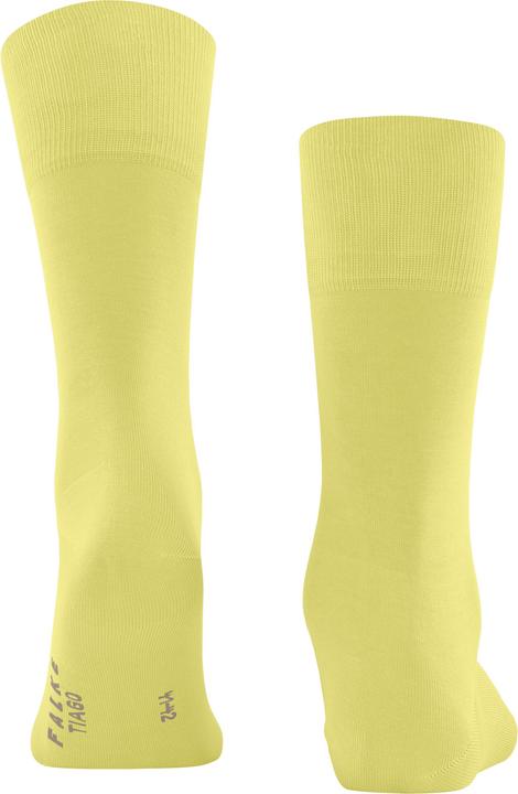 Actual product image Falke Tiago Herren (41 - 42)