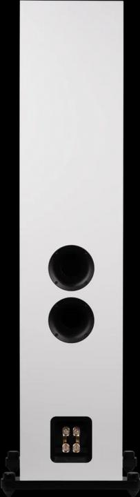 Actual product image Magnat Signature 809 (1 pair)